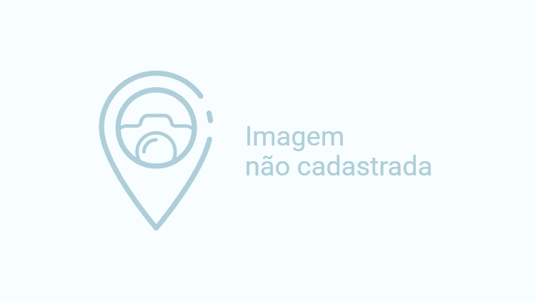 Passeios de catamarã